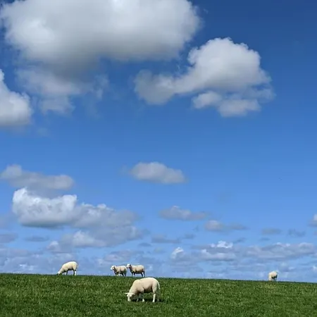 아파트 Boven Timmel